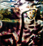 El Jardí d'Humus I, 1994-2002
Fotografía color, impresión giclée sobre aluminio
118 x 110 cm.
